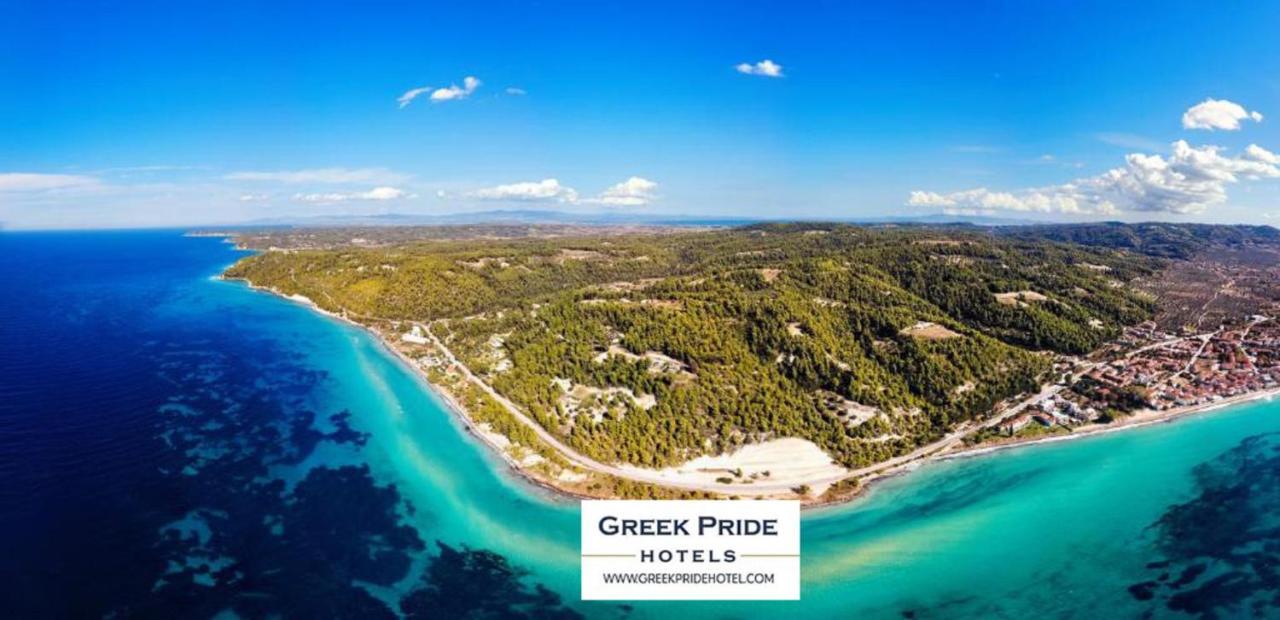 Halkidiki Greek Pride Villa Ellada 弗尔卡 外观 照片