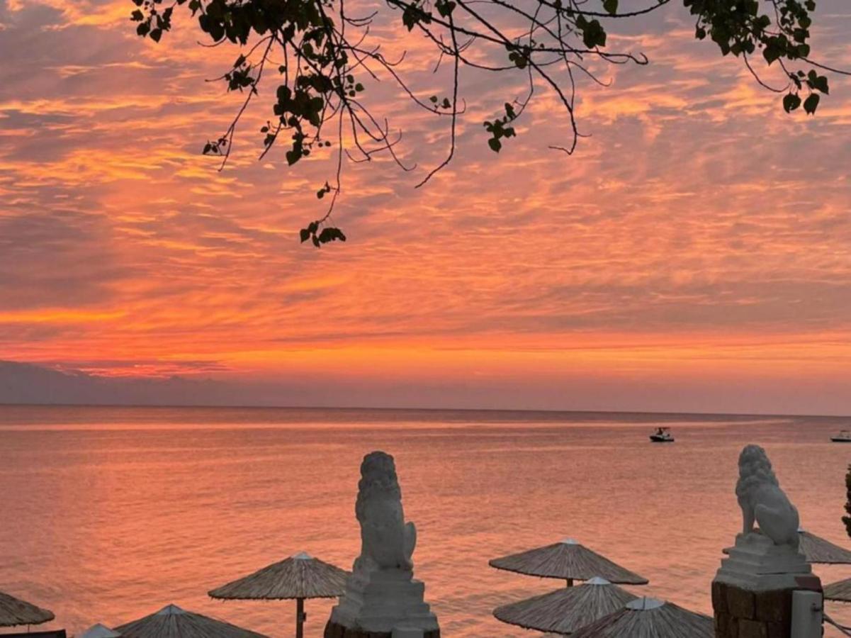 Halkidiki Greek Pride Villa Ellada 弗尔卡 外观 照片